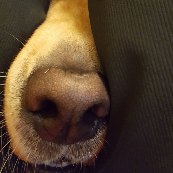 78d9e228 e68b 414d 8a80 319fc563ff1c