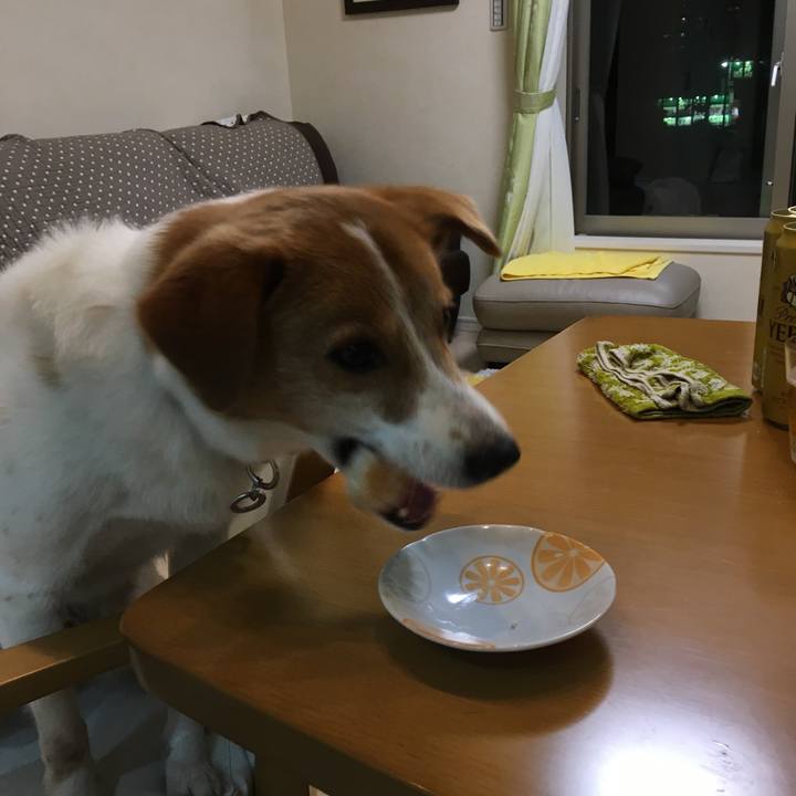 78d9e6a1 92f9 430a a4d3 f76736998e28