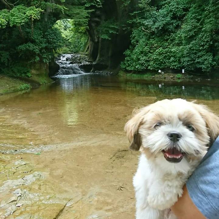 78da2351 7934 476e bea8 4b60cec39a9f