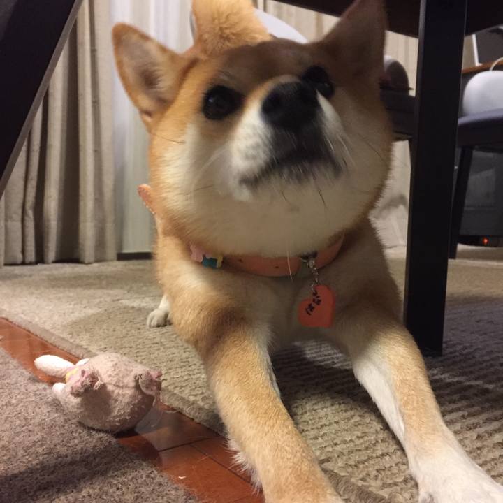 78da455b ecc2 4df4 adf3 9dd3dc21ac50