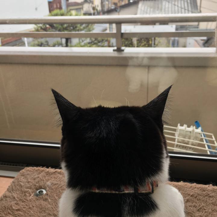 78da6817 d1c2 4620 bdc0 cfe8f57450ac