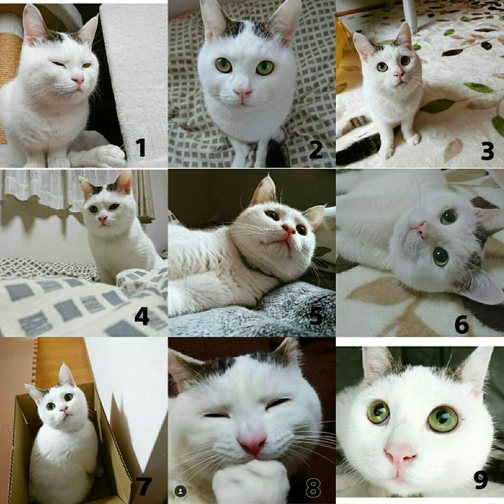 78db4a97 ccae 4081 9a23 c3bf4d29b8b0