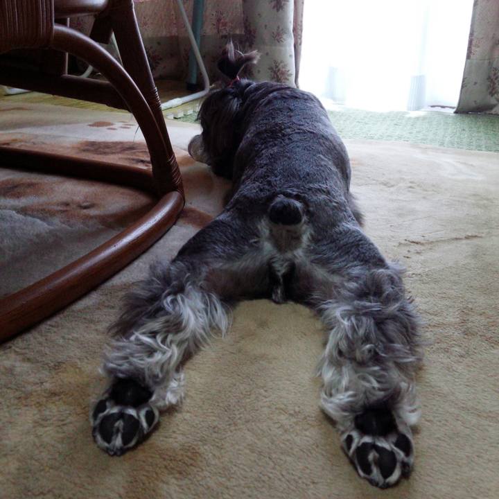 78dba39c 0121 443b bd11 40f0e8844423