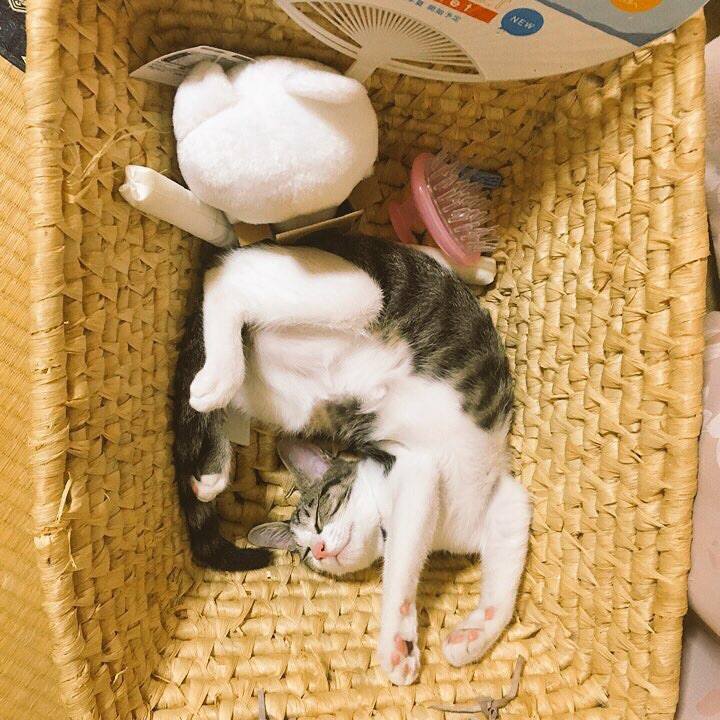 78dbba5a 2e56 4a49 9dc4 88c61863d6fc