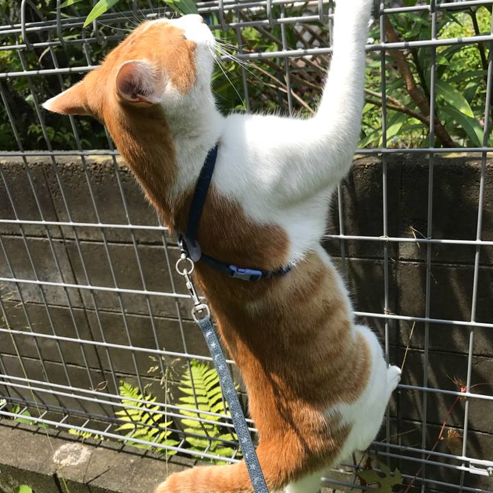 78dbe5a1 672c 468a 8ca9 ab89ef521069