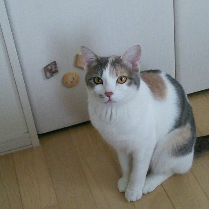 78dd0a02 d5ac 4761 ac61 7dc63d4a579d