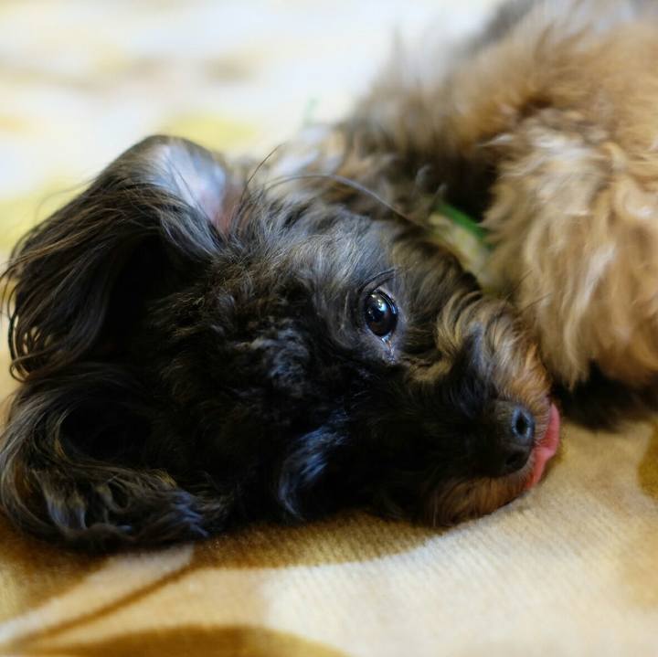 78de0f81 aced 4e83 ac69 64174fbee89d