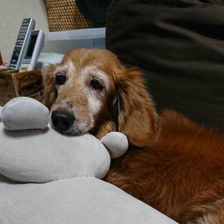 78df2a87 3a7a 43e2 b9c0 ab6198d1b336