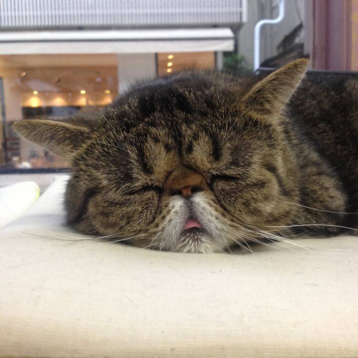 78df5a50 afc2 4c18 b796 3b42724ced55