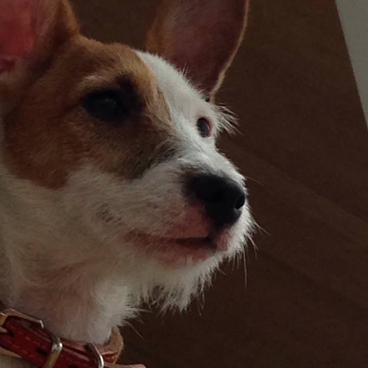 78df70e1 8f14 46ac 8e1b a6ef9efaf361