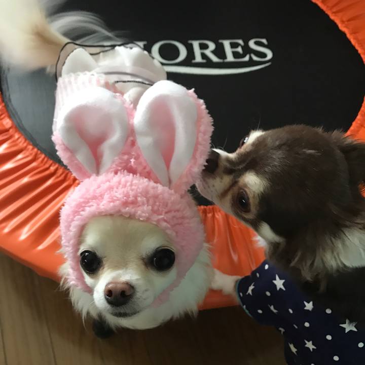 78df8756 5742 429a 9b16 7d72f079deb6