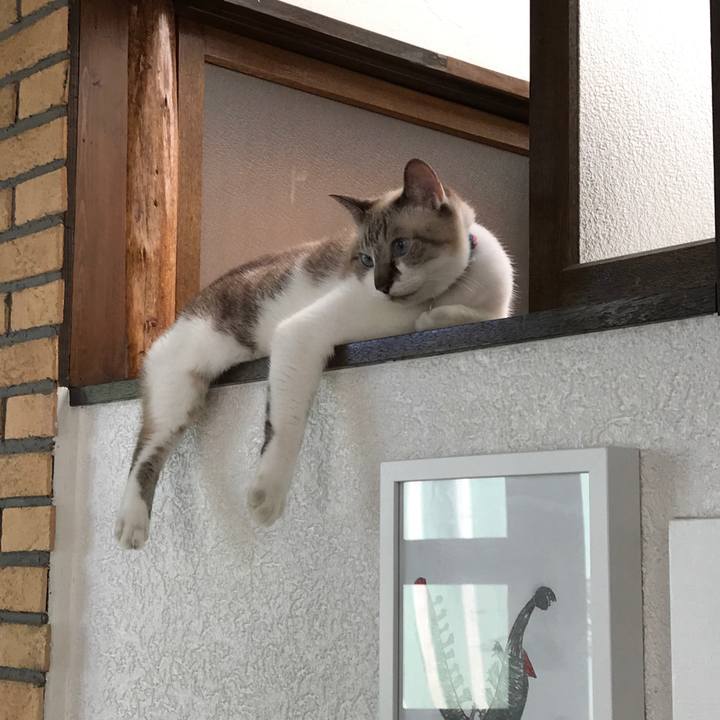 78dffb69 8b90 4347 966b 0b8a5dcc5235