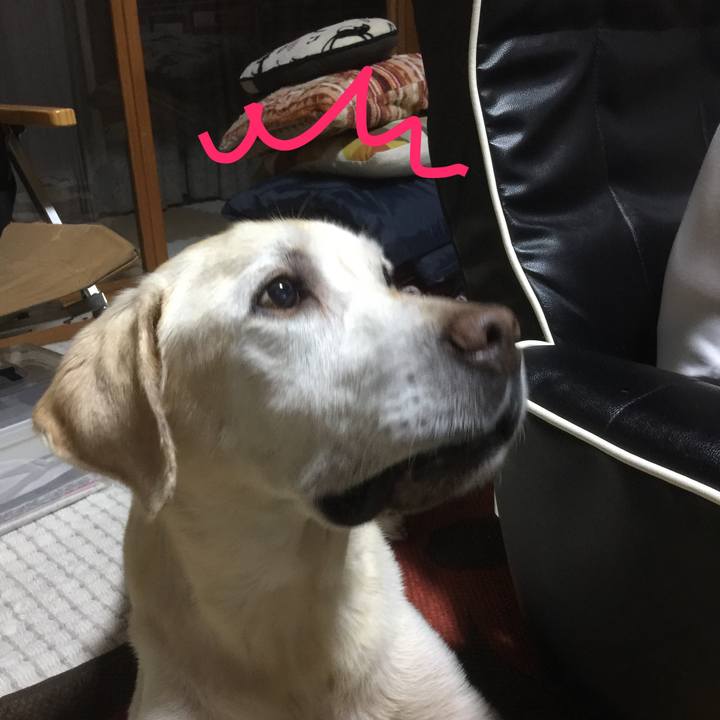 78e0c337 0be3 440b 9069 c120ebfabc20