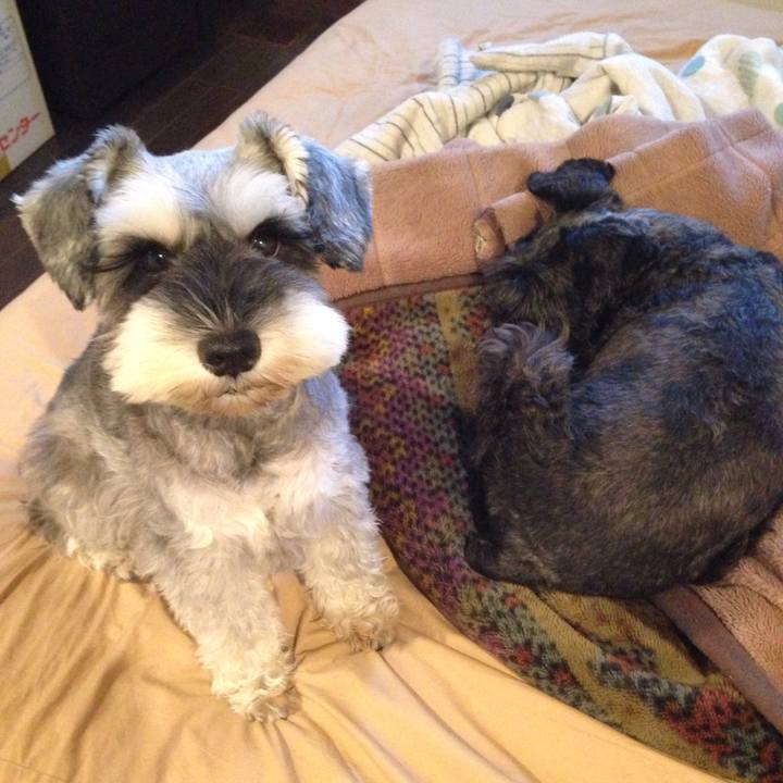 78e16e51 bae9 402b ae54 501a58a46f41