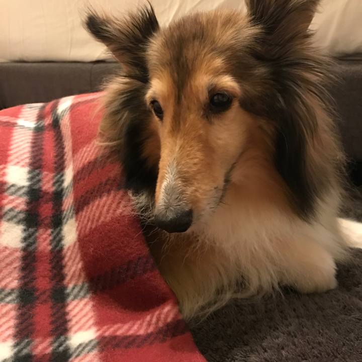 78e1905f 0d16 401e bb04 14e572a7f9d1