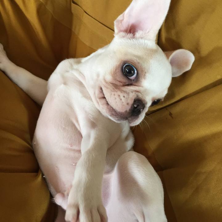 78e2c876 6284 437a 8125 31cd7c81b587