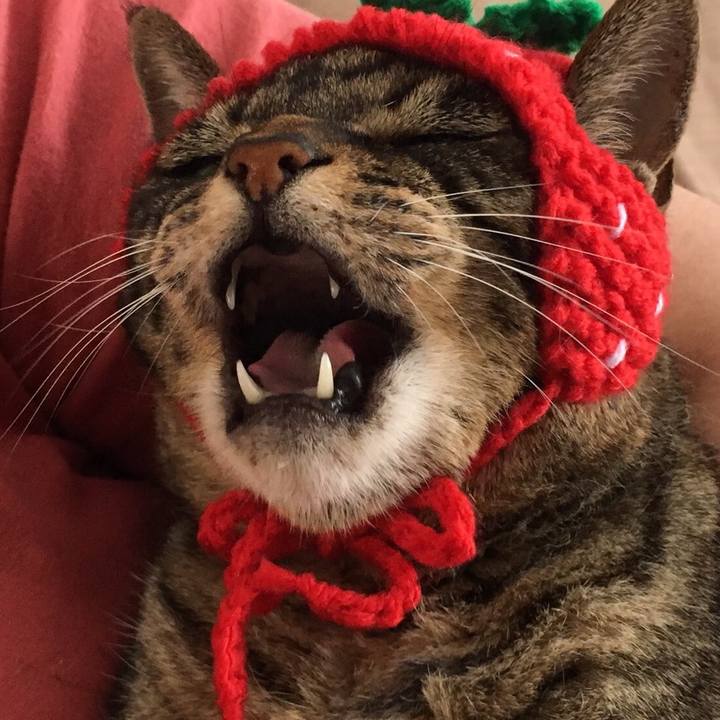 78e364ec 8e26 48a8 a640 7967e18441df