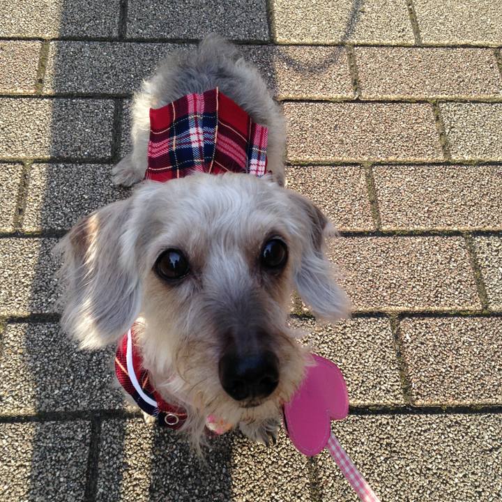 78e40455 c1fc 4ca2 bb39 02a3ce6f68d8