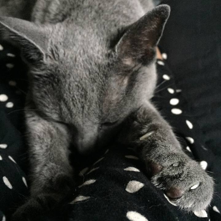 78e43e56 0daa 45f2 964b 633ea9d249e2