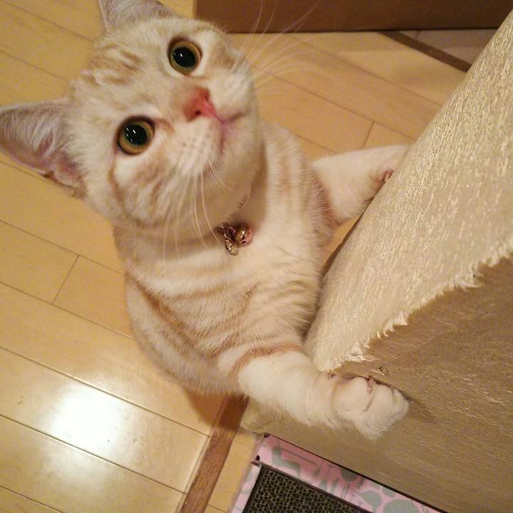 78e4509b d9de 4513 ab61 e725f232b516