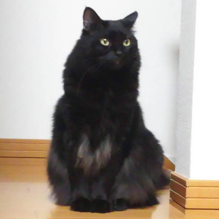 78e453c0 735b 4aa8 aa61 bae24be176c7