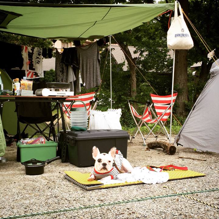 78e4d959 f8dc 4640 810e 07d2d7063da4