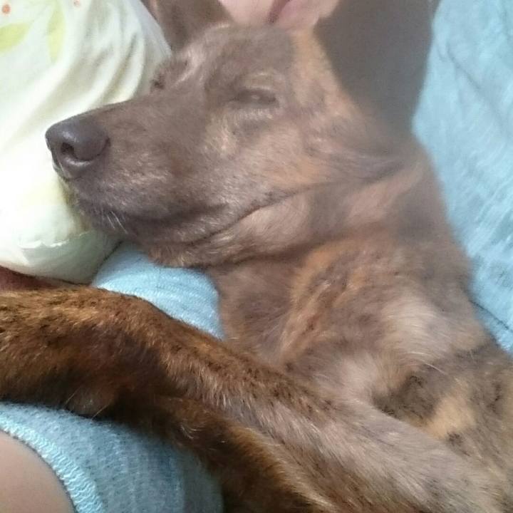 78e58e30 54b0 40dc 9a51 8f0cf9612eab