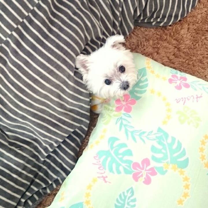 78e5b555 31b5 416f 81b5 b61af8d263d3