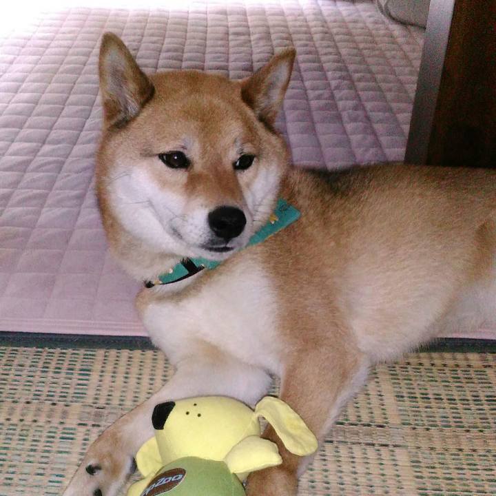 78e652ba 5aa9 4285 bae4 1a929a70cf08