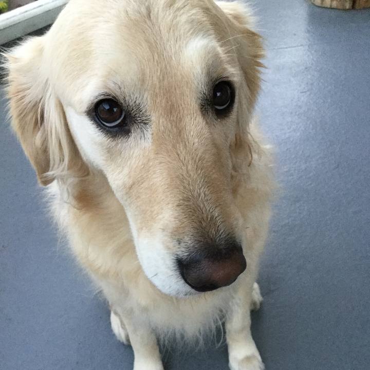 78e6b740 70c1 4251 b8e5 28c102ba1492