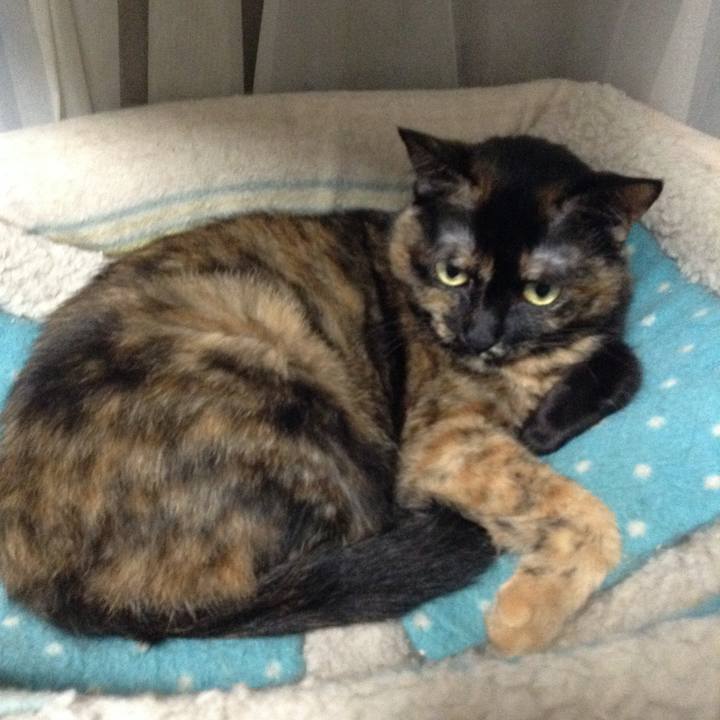 78e6c0ec cf5b 44c5 98cc 0e60d46d0542