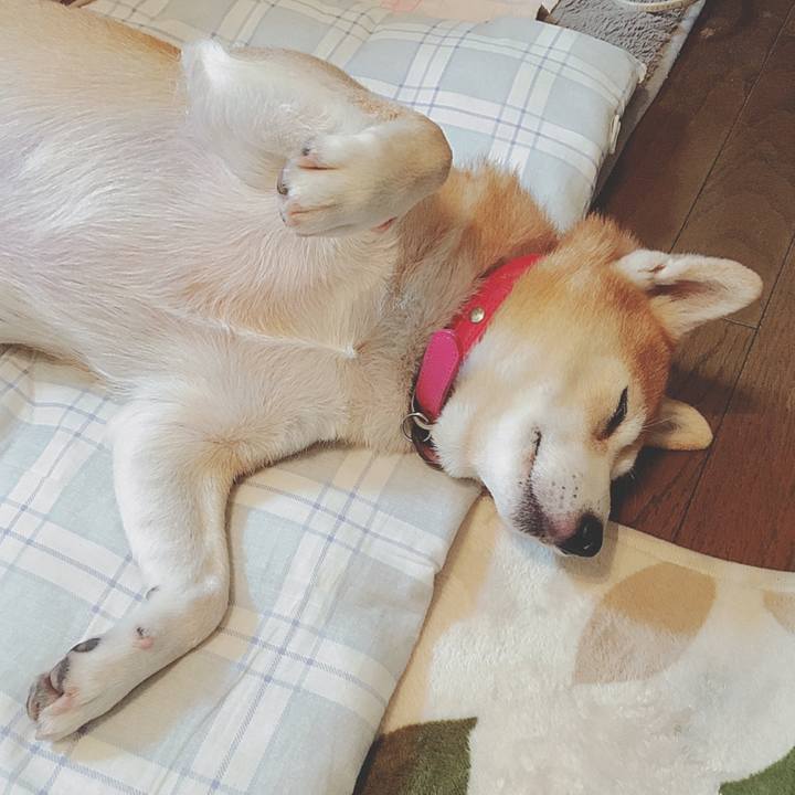 78e6ffa8 0e34 40c2 8a00 1f84c6b58068