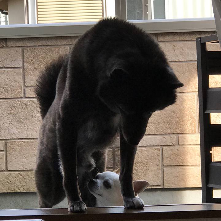 78e75da9 5829 494c 937f 7274abc81fb5