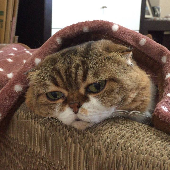 78e76a62 6ebc 4ea6 a0cf 551596d427af