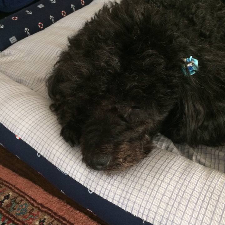 78e7b50b f3e1 4c07 bbd9 293d2dda8a63