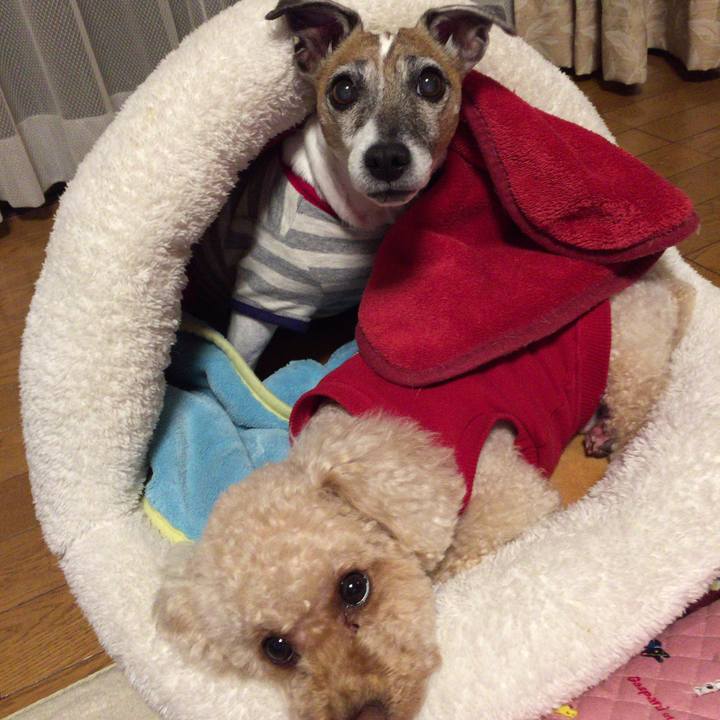 78e7c040 6fef 42b6 bd27 e6b8a68b2fef