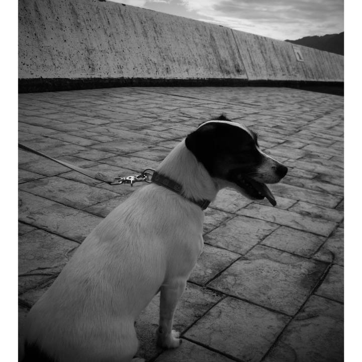 78e7d4cc b814 43b9 bcc9 0de21266760c