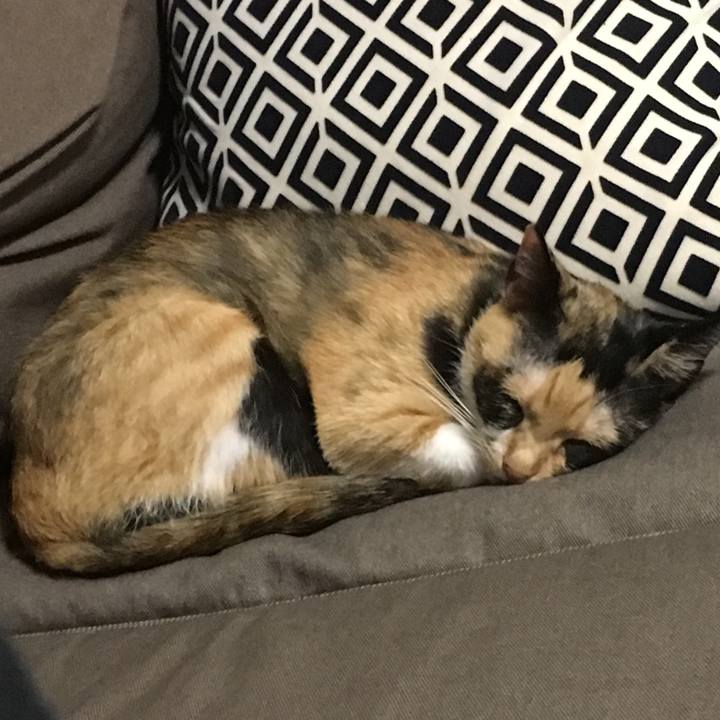 78e808f7 d163 4238 85b4 b656be3c7475