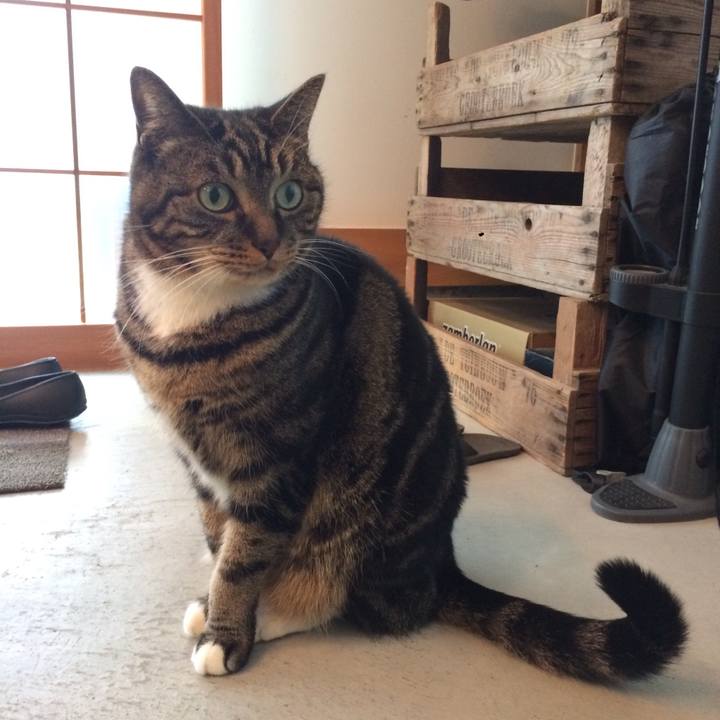 78e926e4 f466 4e56 8c59 f999ed87bb37