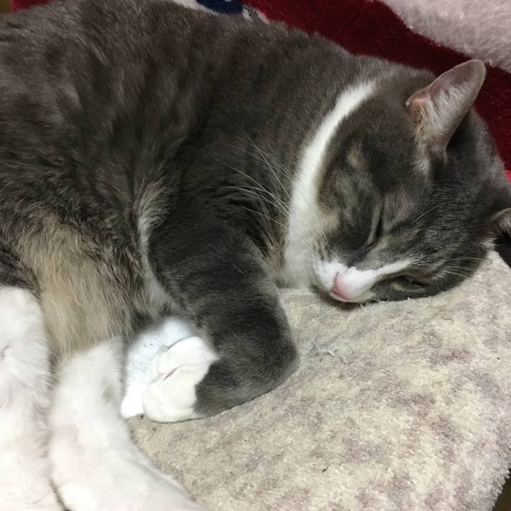 78e94103 5878 42c2 a3a7 87cae8a970f4