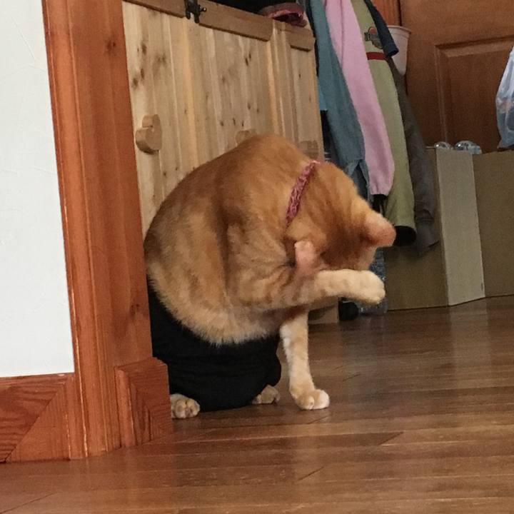 78e977cb 6494 412f 9dd6 3eaaac3434c3