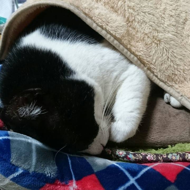 78ea6b7b 6ea6 48c6 bdc4 80a7f98a2412