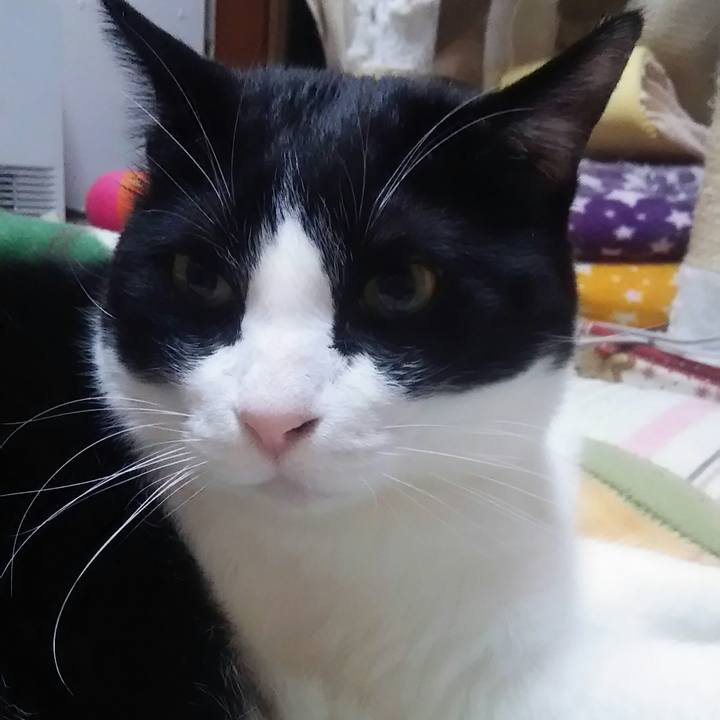 78ea7d03 bd0a 4f09 8aa7 7a022768dcc3