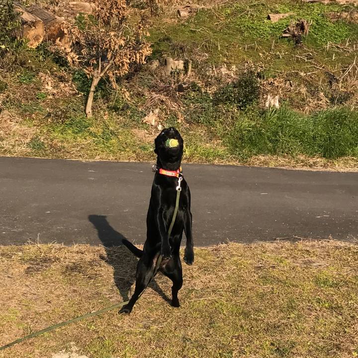 78ea9e02 3fe4 43e3 a3a3 ccefbb437fee