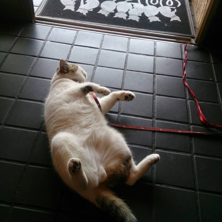 78eb4da4 c644 4c54 96cf 1a0eb53e76d2