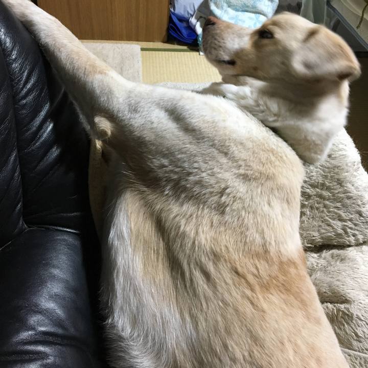 78eb727b 0cf2 4124 b87c 90386ec03b54