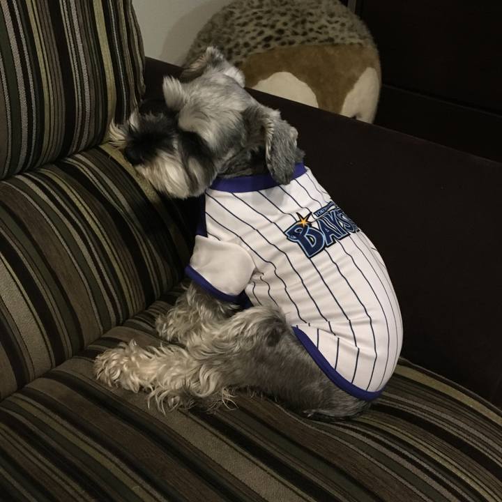 78ebbaf1 0118 4d9d 8c96 824d87f29782