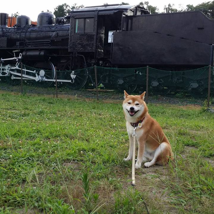 78ebd7e5 27e6 46ea 8103 c69b4566be16