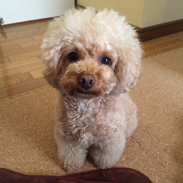 78ed55b8 1401 406e 983f be6e2febfc1d