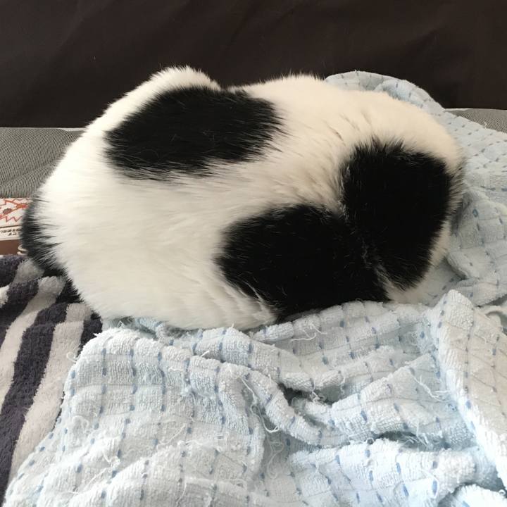 78ed69b0 5ecb 4bbe b251 5d86167aaaba